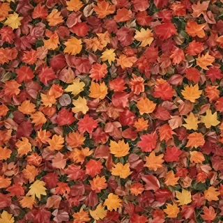 fall leaves