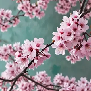 spring phone wallpaper