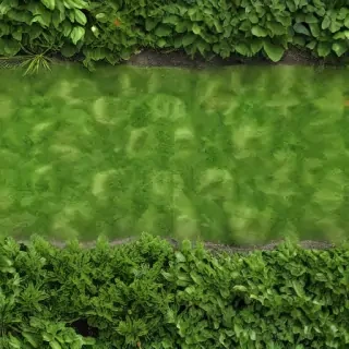 landscaping background
