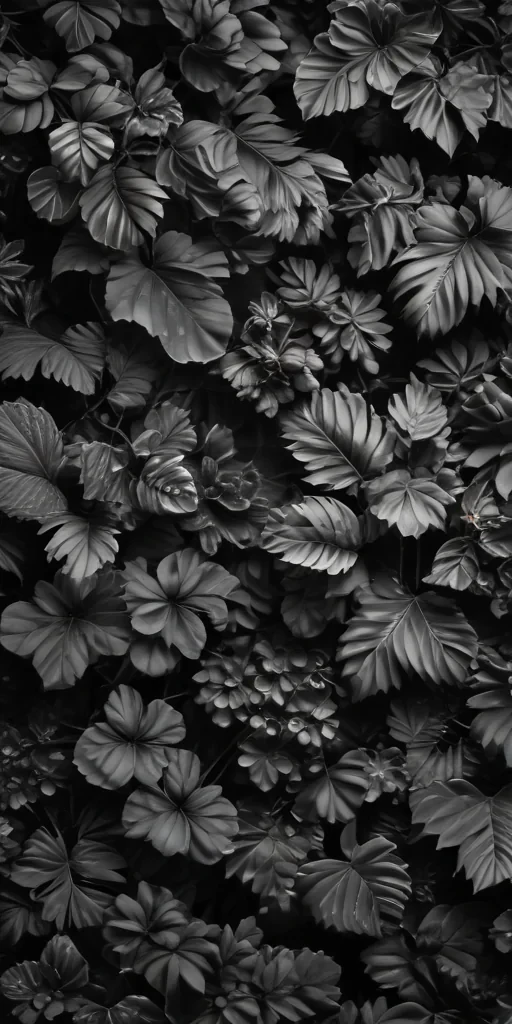 black and white wallpaper iphone