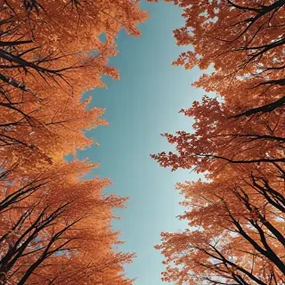 fall wallpaper iphone aesthetic