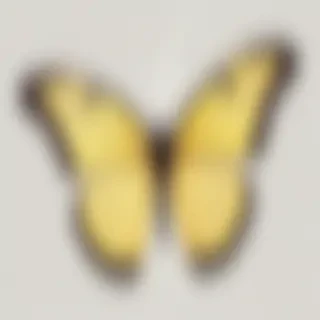 butter fly png