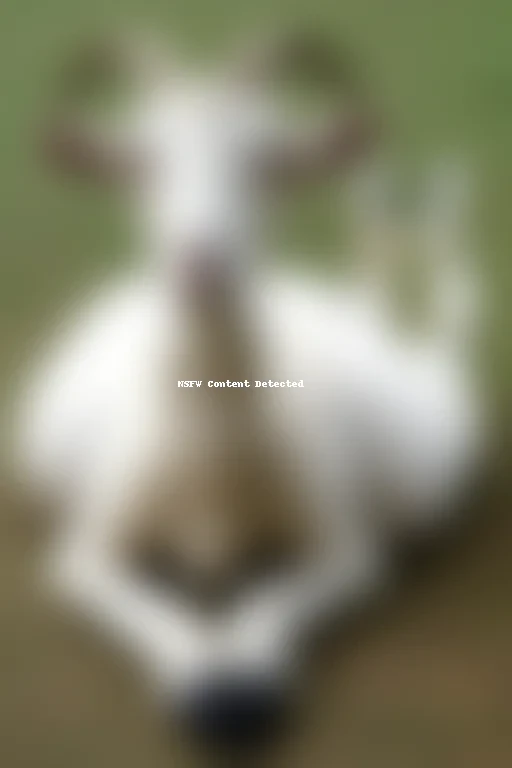 goat png