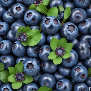 blueberry png
