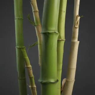 bamboo png