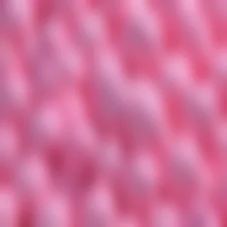 bubblegum png