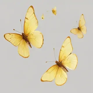 butter flies png
