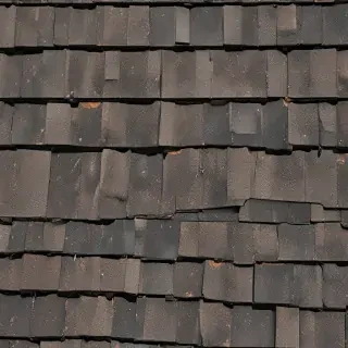 pictures of shingles