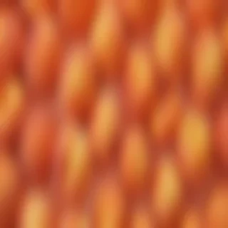 peach color background