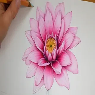flower pictures to draw