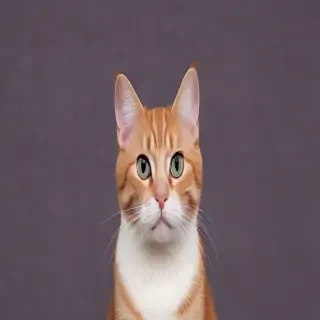 cat backround
