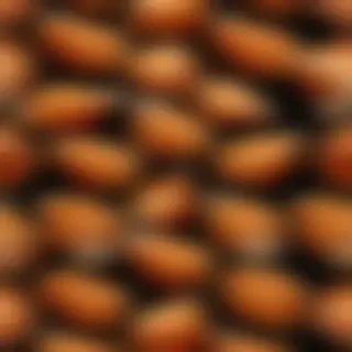 chicken transparent background