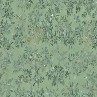 sage green backround