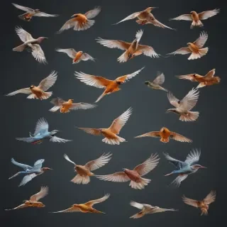 birds flying transparent background