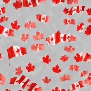 canada flag transparent