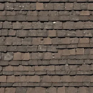 shingles images