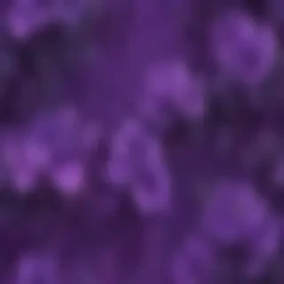 purple home screen wallpaper