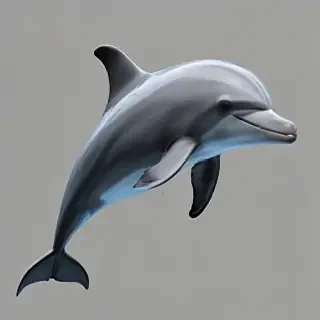 dolphins png