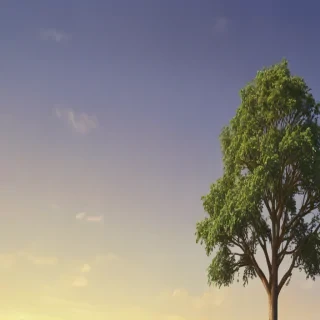 tree background