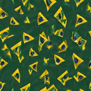 brazilian flag