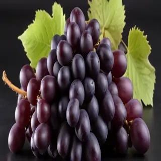 grapes png