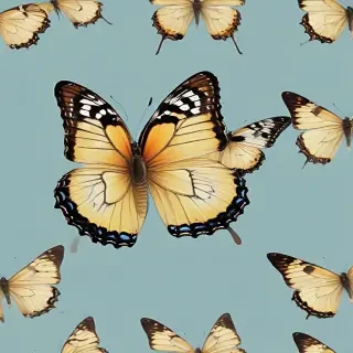 butterfly no background