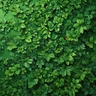 green wallpaper iphone