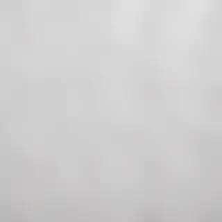 white grey background