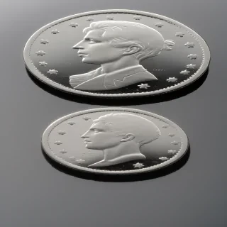 coin flip google