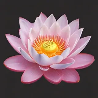 lotus flower png
