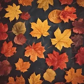 autumn leaves iphone wallpaper