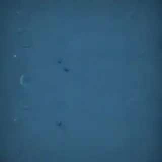 blue iphone background