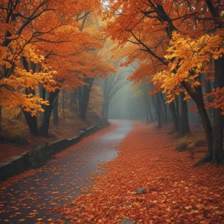 fall iphone wallpaper