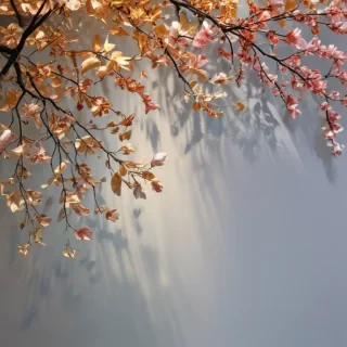 background lovely