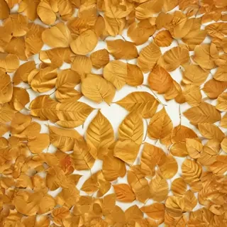 golden leaves background