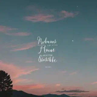 phone wallpaper quotes