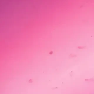 pink iphone wallpaper