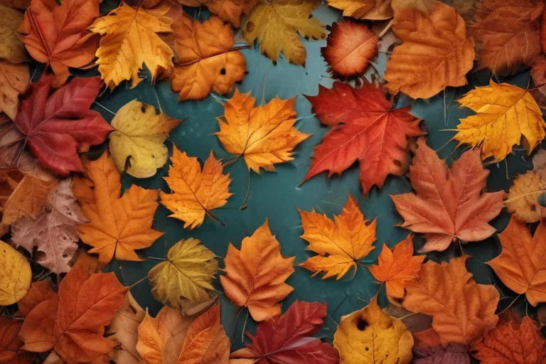 autumn leaves iphone wallpaper