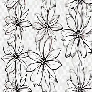 transparent flower outline