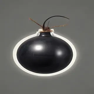 bomb transparent