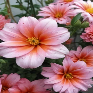 flower wallpaper iphone