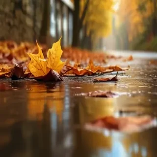 fall background iphone