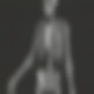 skeleton transparent background