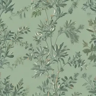 sage green aesthetic background