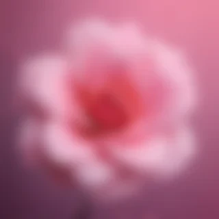 cute pink iphone wallpaper