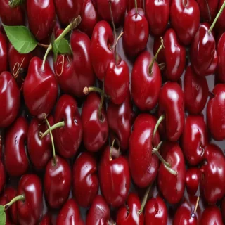 cherry background
