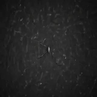 spider background