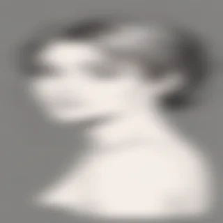 transparent line art