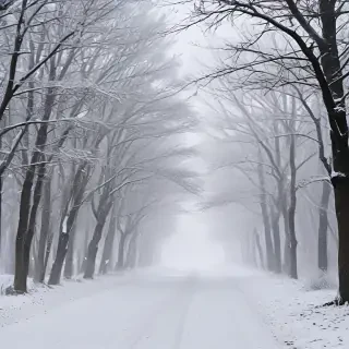 snowing iphone wallpaper