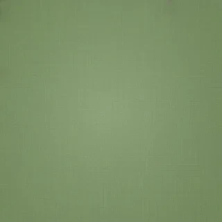 plain green bg
